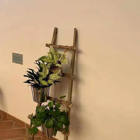 Casa Pilatos Hotel
